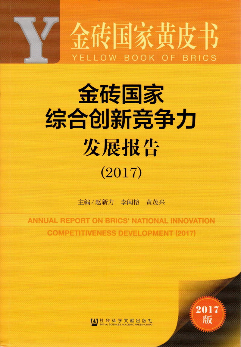 艹死你的小骚B视频金砖国家综合创新竞争力发展报告（2017）